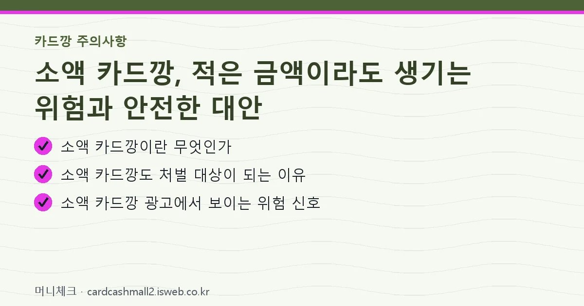 소액 카드깡 핵심 내용 요약