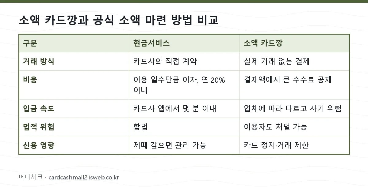 소액 카드깡 소액 카드깡과 공식 소액 마련 방법 비교