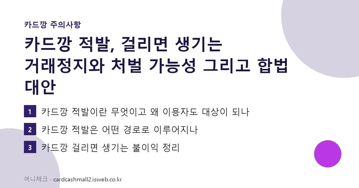 카드깡 적발 핵심 내용 요약